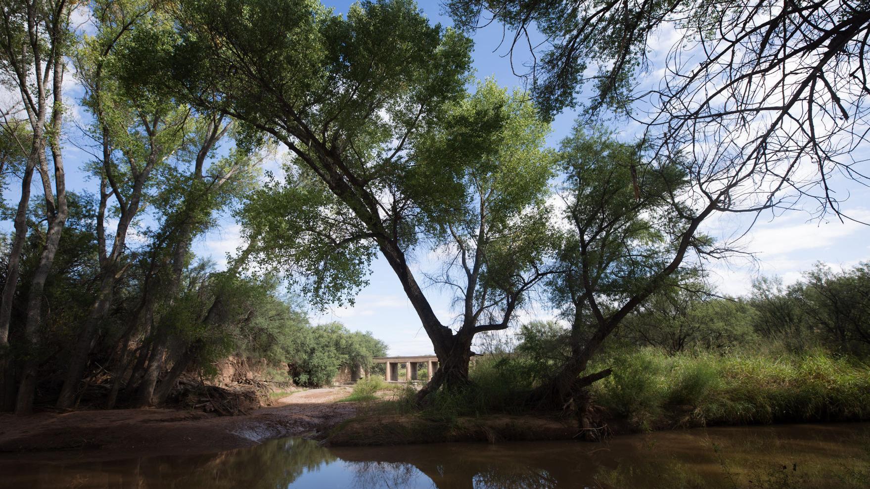 Environmental group sues Fort Huachuca to release documents about harm to river